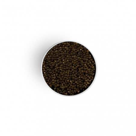 Caviar de Neuvic Baeri Signature 100g - boîte Caviar de Neuvic Baeri Signature 100g - boîte