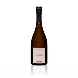 Champagne Charpentier Terre...