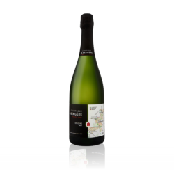 Magnum Champagne A.Bergère Origine