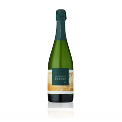 Champagne Ullens