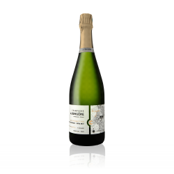 Champagne A.Bergère Les Peignottes