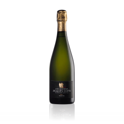 Champagne Jacques Copin...