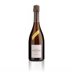 Champagne Hugues Godmé Fins Bois