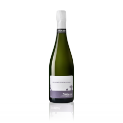 Champagne Moussé Fils - Les Vignes de mon Village