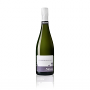 Champagne Moussé Fils - Les Vignes de mon Village
