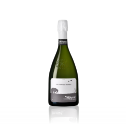 Champagne Moussé - Les Fortes Terres 2019