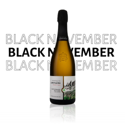 Black Friday - Champagne A.Bergère Terres Blanches