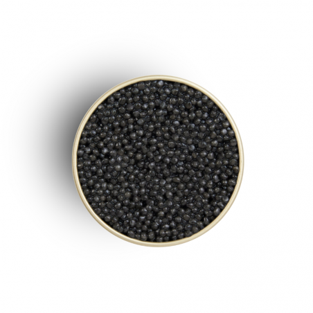 Caviar Kasnodar Baeri White Edition 500g - etiquette