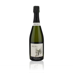 Champagne Tradition Blanc de Noirs - Marie Demets