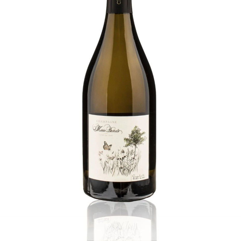 Champagne Singularité Pinot Blanc - Marie Demets étiquette